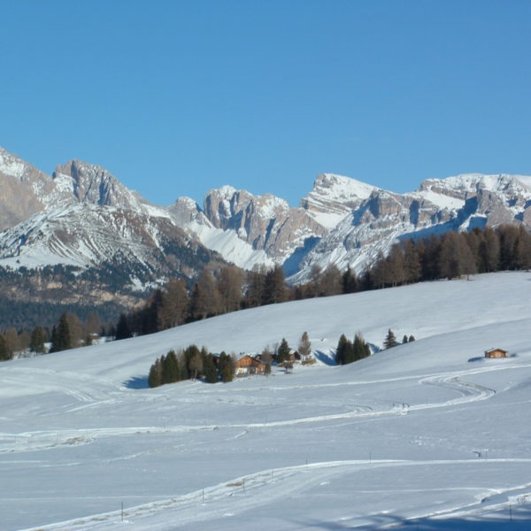 Alpage de Siusi